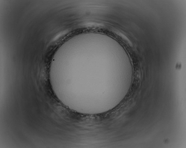 X0000102260869200808081358