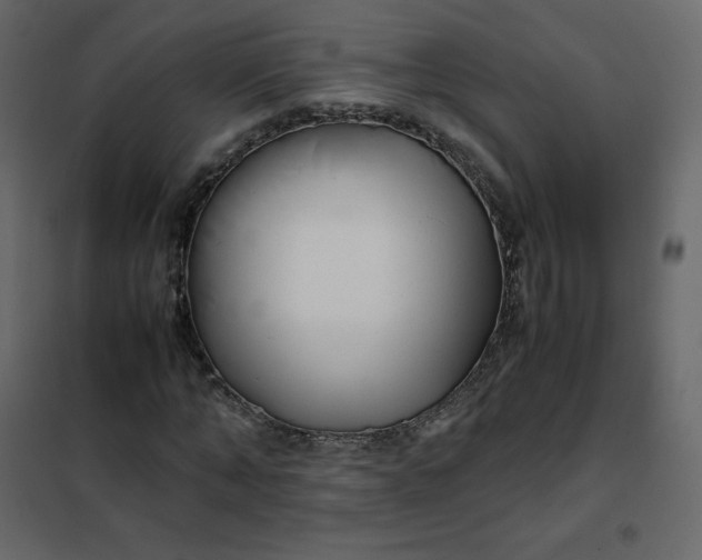 X0000102260870200808081358