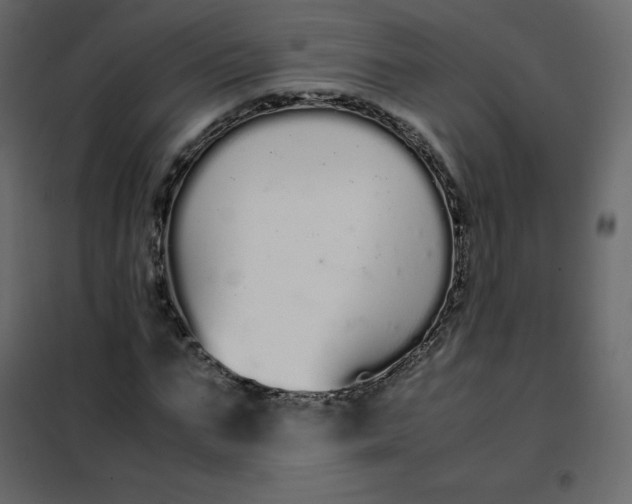 X0000102260871200808081358