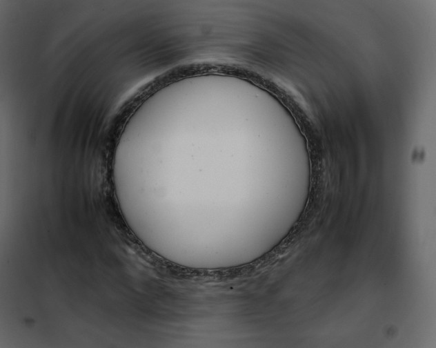 X0000102260872200808081358