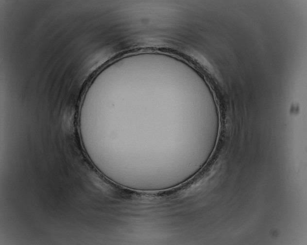 X0000102260873200808081358