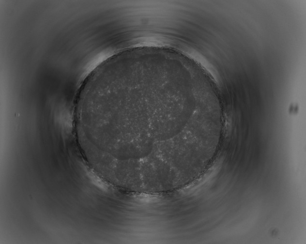 X0000102260874200808081358