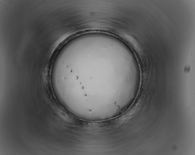 X0000102260875200808081358