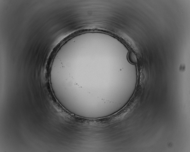 X0000102260876200808081358