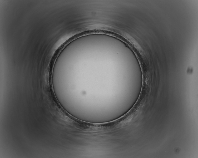 X0000102260877200808081358