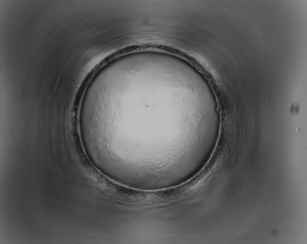 X0000102260879200808081358