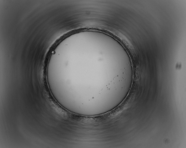 X0000102260880200808081358