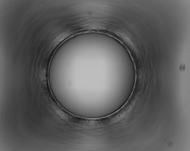 X0000102260881200808081358