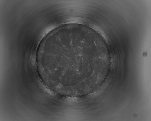 X0000102260882200808081358