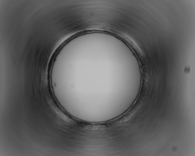 X0000102260884200808081358