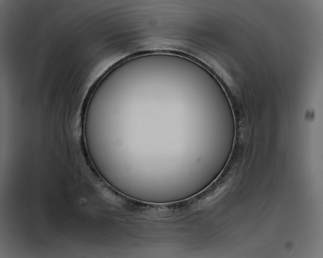 X0000102260885200808081358