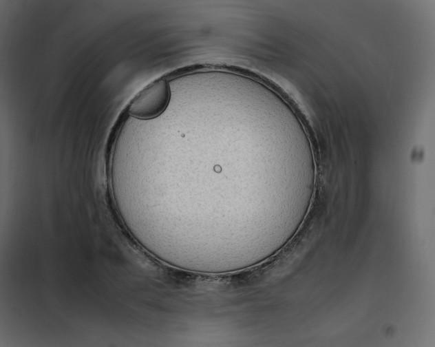 X0000102260887200808081358