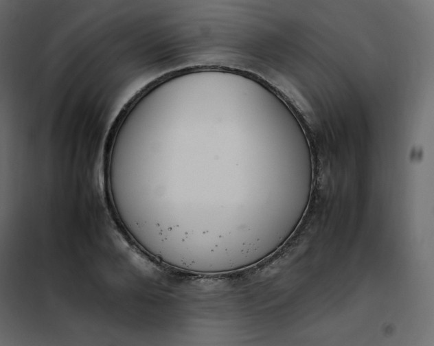 X0000102260888200808081358