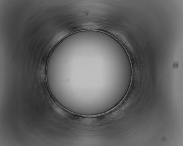 X0000102260889200808081358