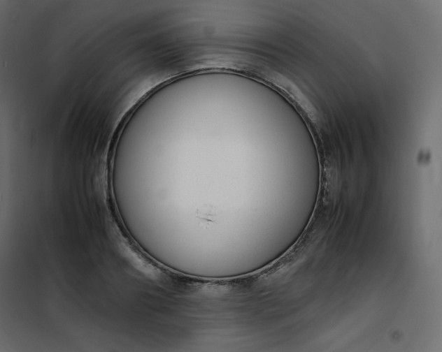 X0000102260890200808081358