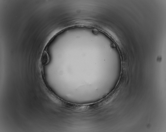 X0000102260891200808081358