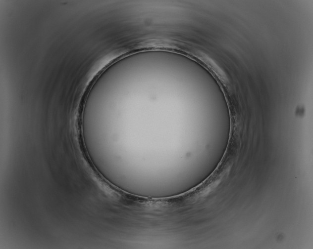 X0000102260893200808081358