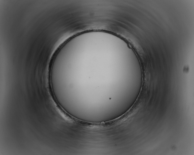 X0000102260894200808081358