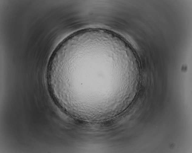 X0000102260895200808081358