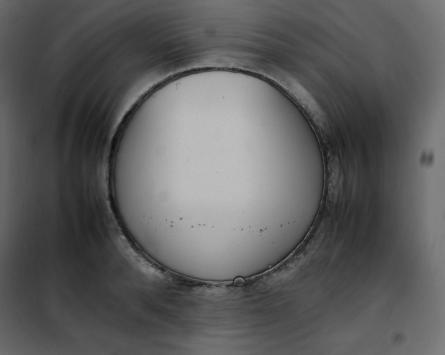 X0000102260896200808081358