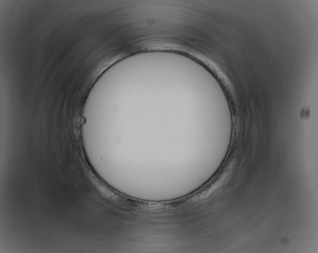 X0000102260897200808081358