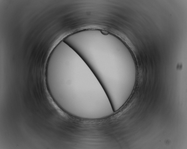 X0000102260898200808081358