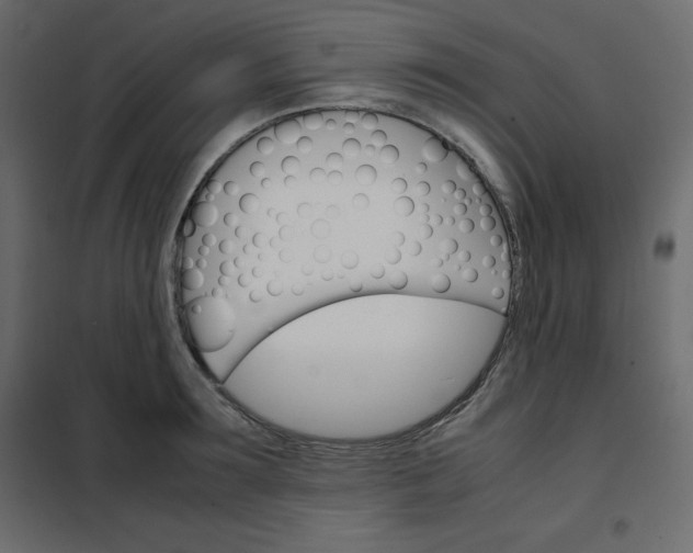 X0000102260899200808081358