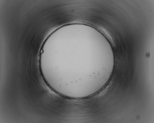 X0000102260900200808081358