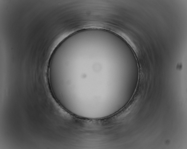 X0000102260901200808081358