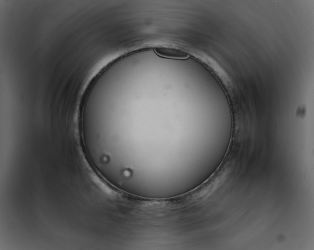 X0000102260902200808081358