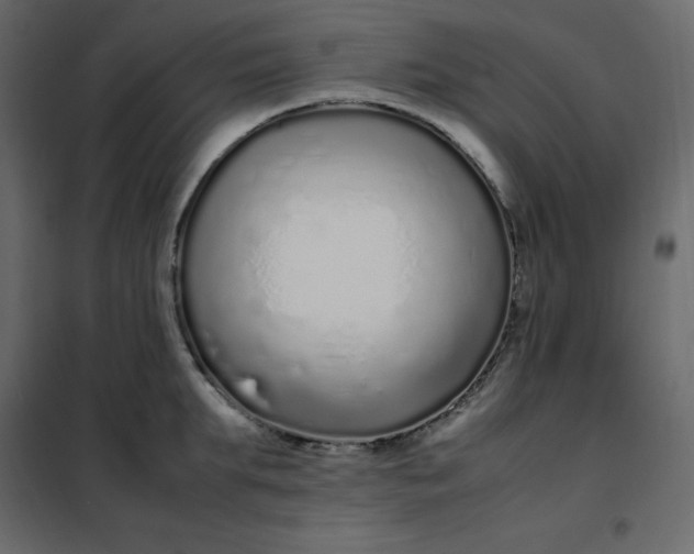 X0000102260903200808081358