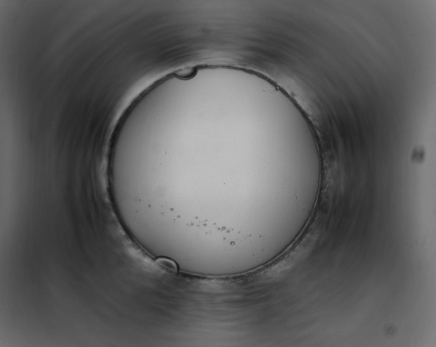 X0000102260904200808081358