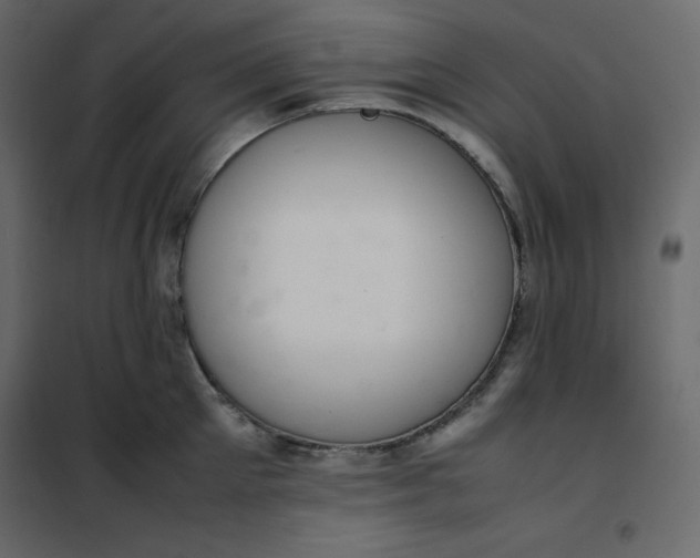 X0000102260905200808081358