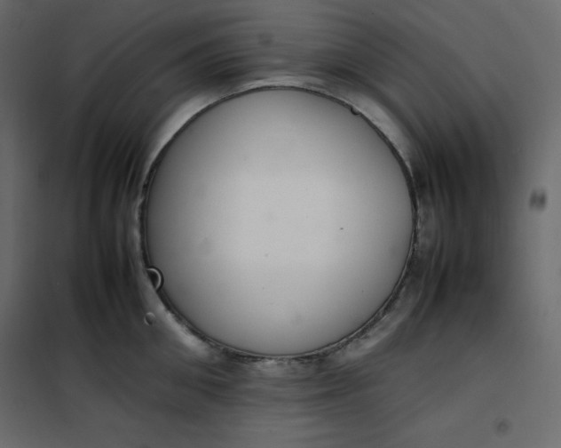 X0000102260906200808081358