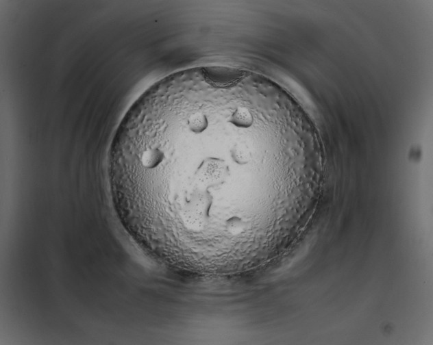 X0000102260907200808081358