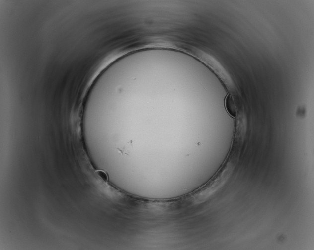 X0000102260908200808081358