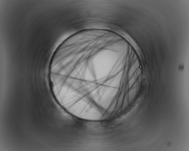 X0000102260909200808081358