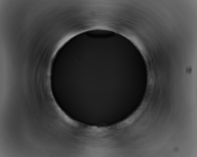 X0000102260910200808081358