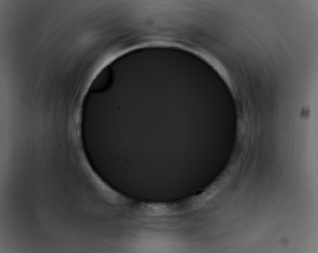 X0000102260911200808081357