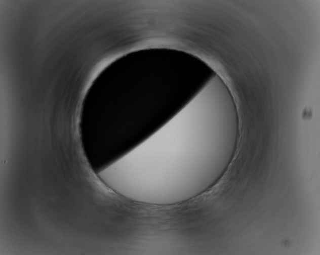 X0000102260912200808081357