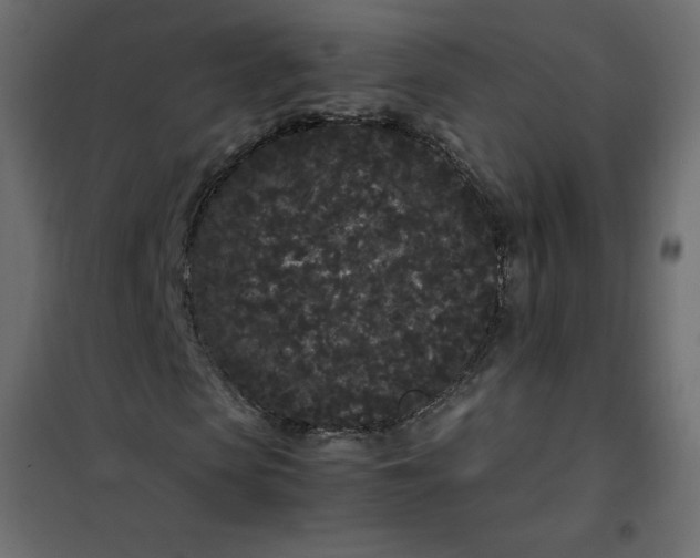 X0000102260913200808081357