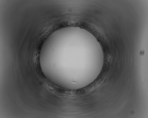 X0000102260914200808081357