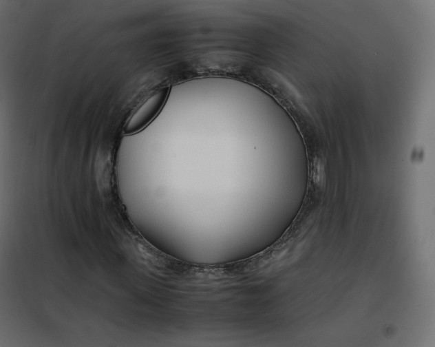 X0000102260915200808081357