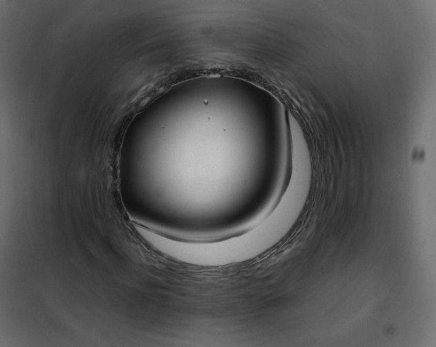 X0000102260916200808081357