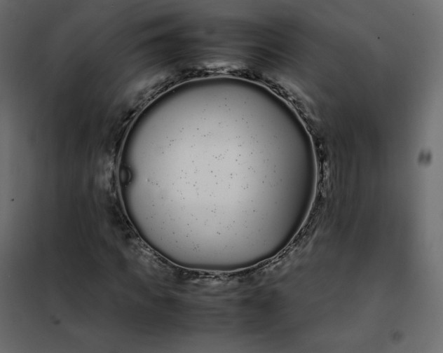 X0000102260917200808081357