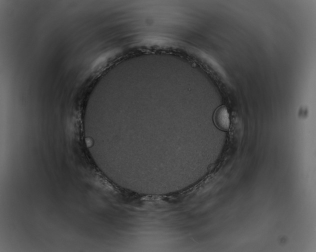 X0000102260918200808081357