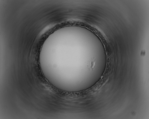 X0000102260919200808081357