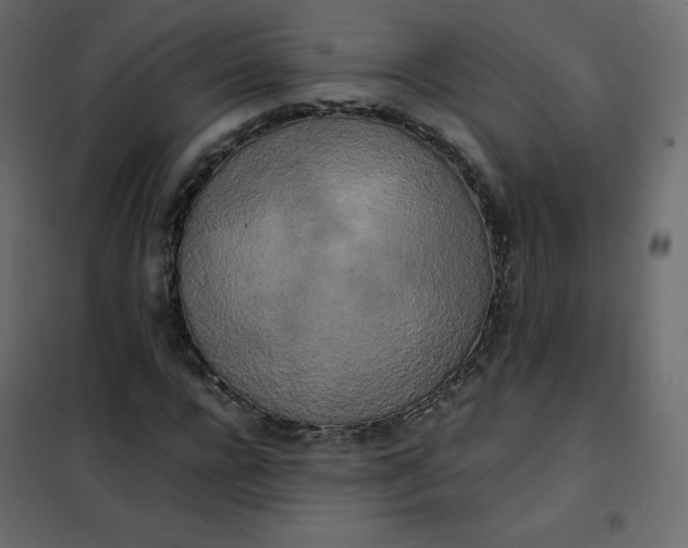 X0000102260920200808081357