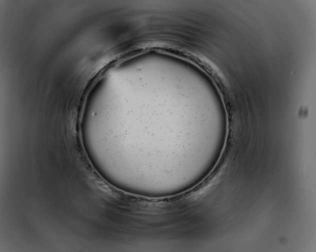 X0000102260921200808081357