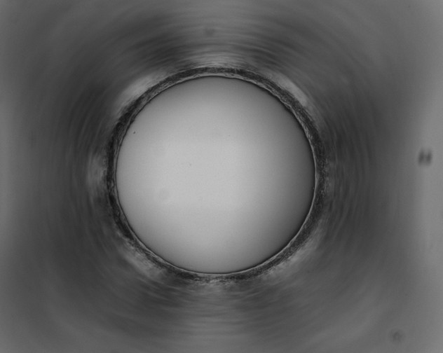 X0000102260922200808081357